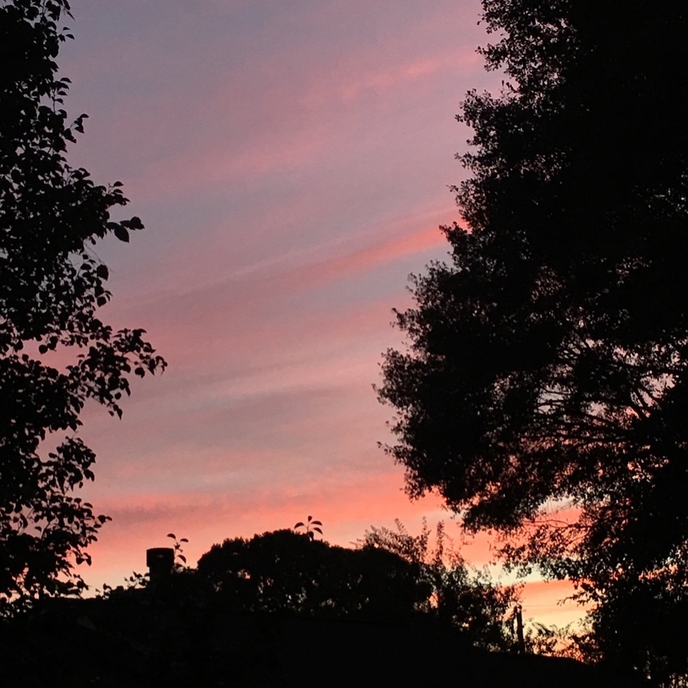 Meet your Posher, Joanna